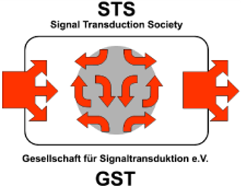 20240430_Logo_STS_Weimar.png