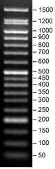 Product Image SERVA FastLoad 50 bp DNA-Leiter_