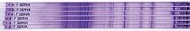 Product Image SERVA IPG <i>Blue</i>Strip 3-10 NL / 18 cm_