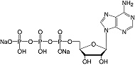 Structure Adenosin-5'-triphosphat&#183;Na<sub>2</sub>-Salz_cryst. reinst