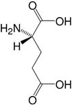 Structure L-Glutaminsäure_reinst, Ph. Eur.