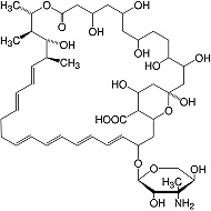 Structure Nystatin min. 4 400 Units/mg_reinst, Ph. Eur.
