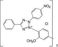 Structure Nitroblautetrazoliumchlorid_p.a.