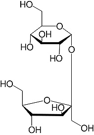 Structure Saccharose_reinst