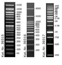 39215-DNA-Standard-DE.jpg