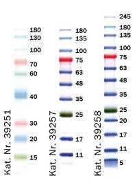 39251-Protein-Standard-SDS-DE-neu.jpg