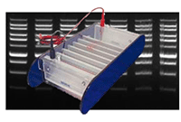 DNA-RNA-Elpho-1.png