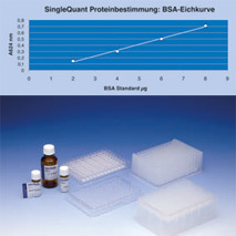 Proteinquantifizierung-komplett.jpg