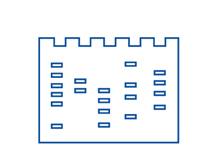 SERVA-icon-electrophoresis.png