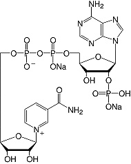 Structure &beta;-Nicotinamide adenine dinucleotide phosphate&#183;Na<sub>2</sub>-salt_research grade