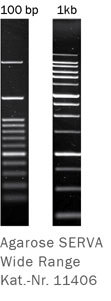Agarose-11406-s.jpg