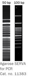 Agarose-Analytik-11383-EN.jpg