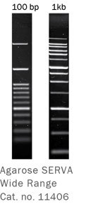 Agarose-Wide-Range-11406-EN.jpg
