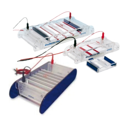 BlueMarine-allModules 09-12-22.jpg