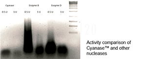 Cyanase-E